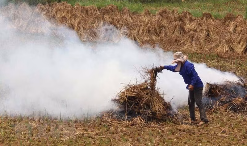 Thu dot bo khoi om troi Ha Noi, Amazon ban 100 USD/tan