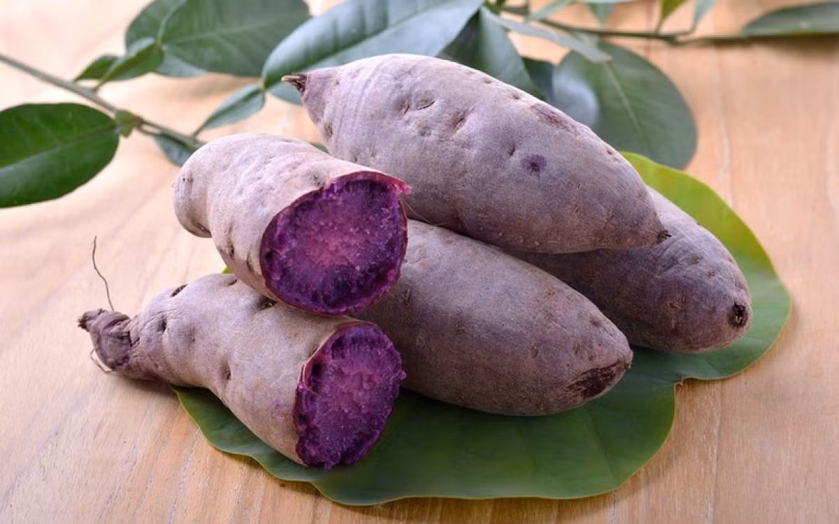 Theo nhiều nghiên cứu, thường xuyên ăn khoai lang có thể giúp phụ nữ thời kỳ tiền mãn kinh chống lại căn bệnh ung thư vú.