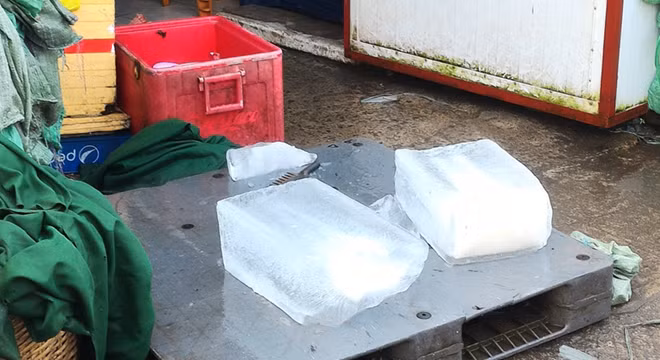 Những cây đá sau khi thành phẩm được vứt lăn lóc tại khu vực sản xuất siêu bẩn, mất vệ sinh.