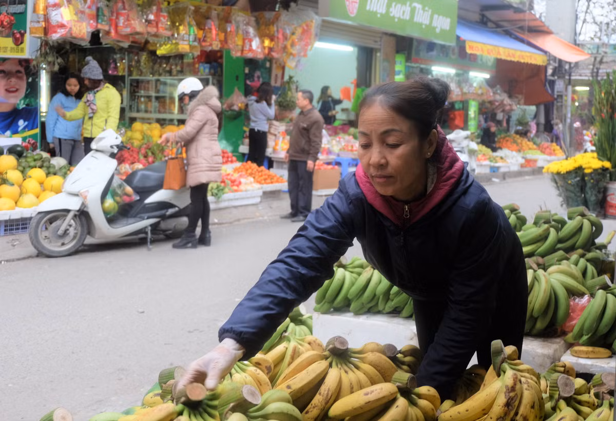 Riêng chuối xanh quả lẻ còn có giá bán gấp đôi do người dân có quan niệm thắp hương quả lẻ sẽ mang lại nhiều may mắn.