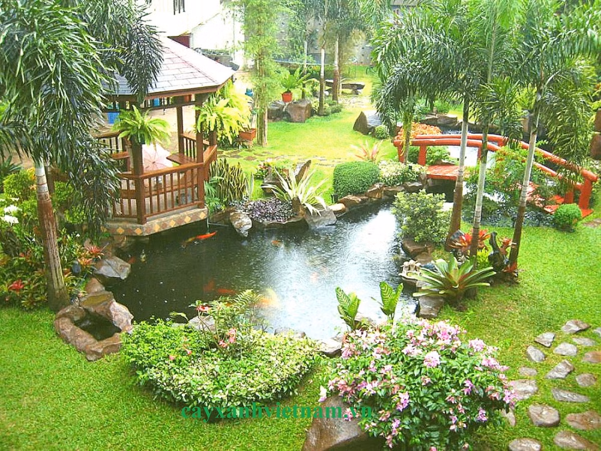 Bạn cũng cần lưu ý lựa chọn các loại cây trồng sao cho hợp lý. Ảnh: Cayxanhvietnam.