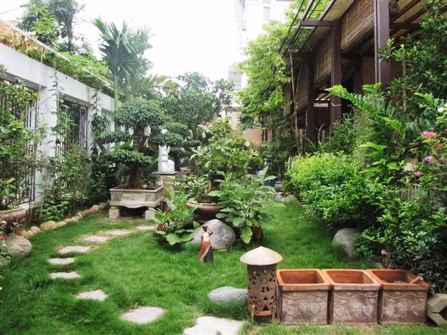 Những loại cây được khuyến khích trồng là những loại cây có khả năng thích nghi với mọi điều kiện khí hậu, ít ánh sáng, dễ sống, ít rụng lá. Ảnh: Tranhdatieucanh.