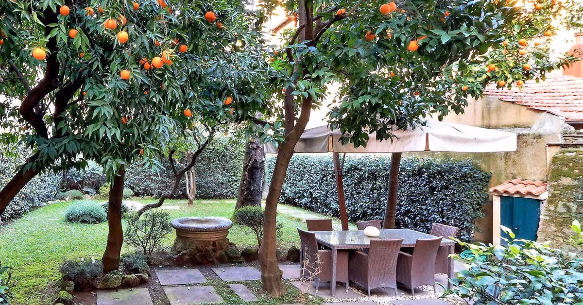 Ngoài ra, Palazzetto còn có cả một khu vườn bí mật rộng gần 185m2 trồng rất nhiều cam. Ngoài ra, Palazzetto còn có cả một khu vườn bí mật rộng gần 185m2 trồng rất nhiều cam.