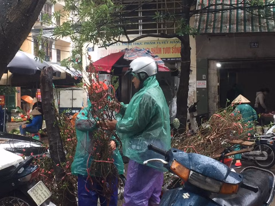 Hoa đào được rất nhiều người dân Hà Nội chọn mua để cúng rằm và đón Tết sớm...