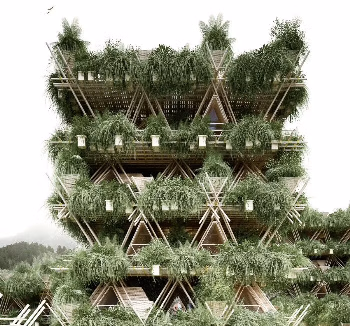 Nhiều lớp tre được thêm vào thành một ngôi nhà cây nhiều tầng, trông giống như một chung cư. Mỗi phòng trong căn nhà này cao khoảng 4m.