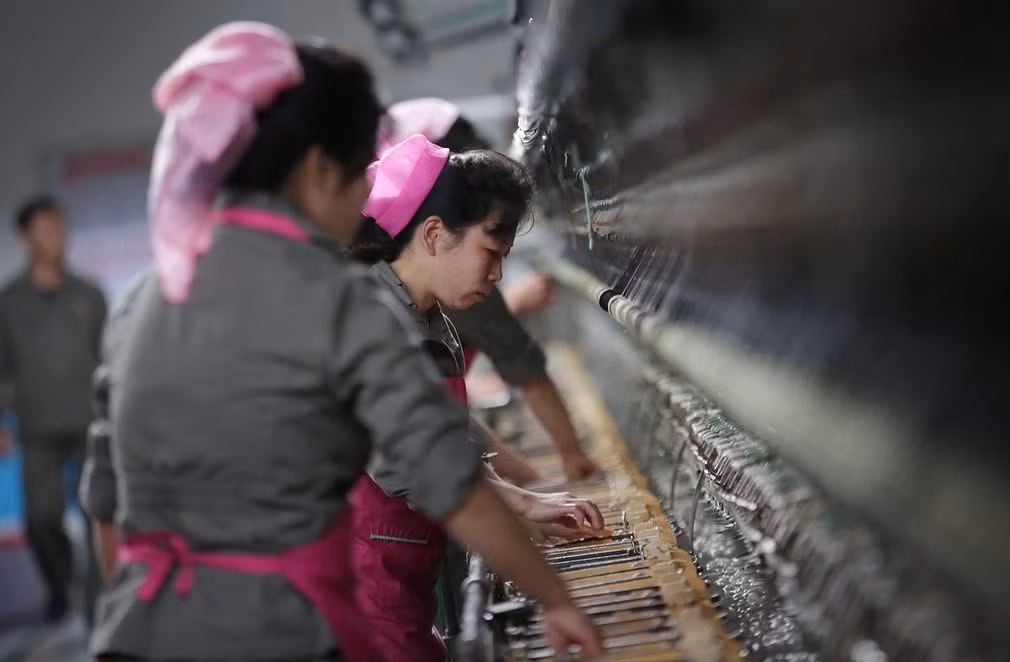 Các nữ công nhân làm việc rất chăm chú và chuyên nghiệp