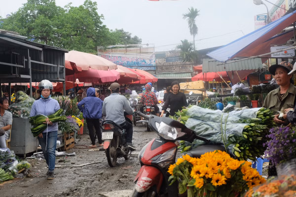 Với số lượng hoa tươi 8/3 tăng đột biến, các tiểu thương đổ về chợ Quảng Bá vì tại đây, hoa sẽ được nhập với giá gốc, nguồn hoa phong phú, đa dạng.