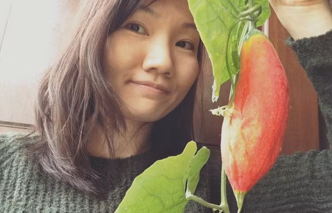 Da mat vuon rau ban cong mini an khong xue cua nguoi Viet