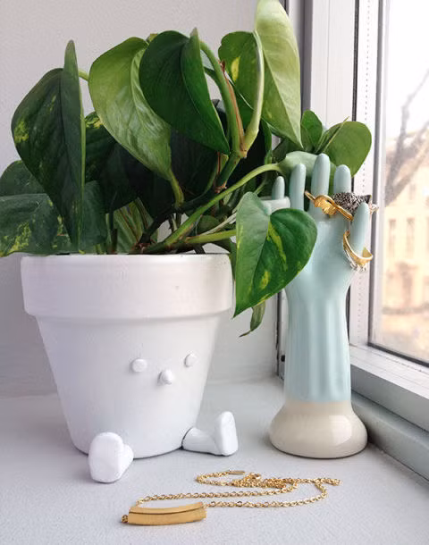 Cây trầu bà. Là loại cây leo rất dễ trồng, lá hình tim, xanh thẫm có gân màu vàng hay màu kem. Có thể để bình cây leo ở góc phòng hoặc treo những chậu cây gần cửa sổ, chúng sẽ làm cho căn phòng sinh động và tự nhiên hơn rất nhiều.