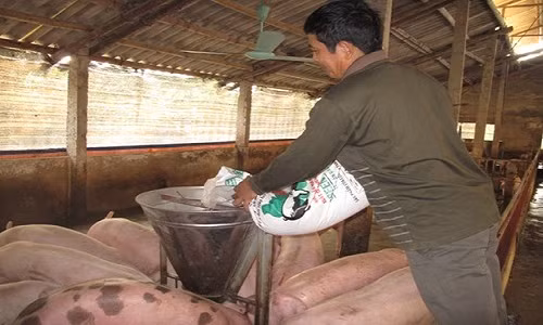 Kinh hoàng những miếng ăn tẩm kháng sinh - Hình 2 Kinh hoang nhung mieng an tam khang sinh-Hinh-2