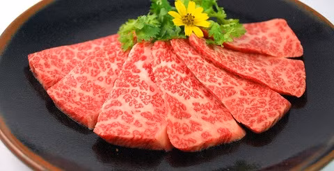 Bò Miyazaki. Miyazaki là giống bò đen thuần chủng 100% Nhật Bản được nuôi tại vùng Miyazaki ở điều kiện đặc biệt với lúa mì và ngô trong 900 ngày. Chúng được uống bia và massage để thư giãn tối đa, cho ra những miếng thịt hảo hạng nhất. Vài lát thịt bằng ngón tay cũng có giá đến 1 triệu đồng.