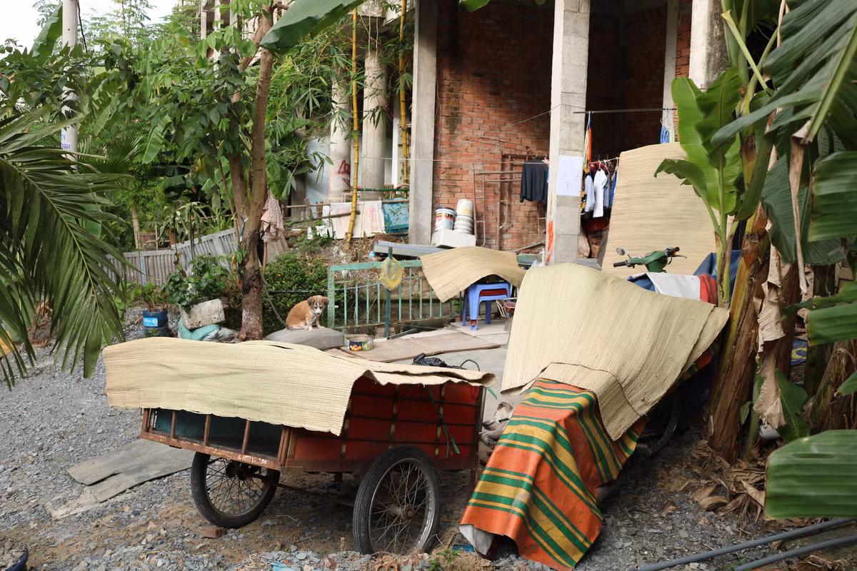 Đến nay những biệt thự bỏ hoang này đã rêu phong và cũ kỹ.