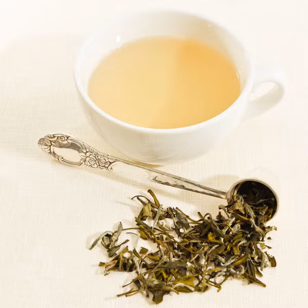 Bạch trà được đặt theo tên của lớp lông tơ bảo vệ trên lá non. Có 4 loại bạch trà, gồm: bạch trà bạc kim, bạch trà mẫu đơn, bạch trà mi vạn thọ và bạch trà triều cống. (Ảnh Dilmah)