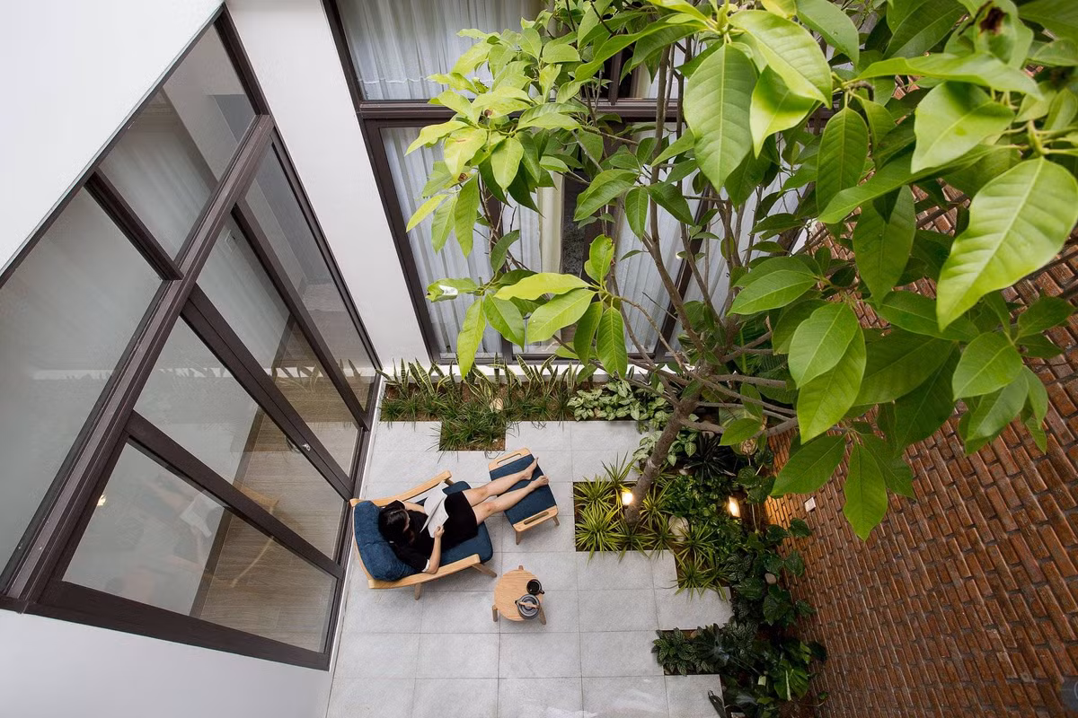 Ngọc lan cũng là một trong những loại cây thân gỗ được yêu thích tại Việt Nam bởi có tán lá đẹp và đặc biệt là hoa rất thơm. Ảnh: Happynest.