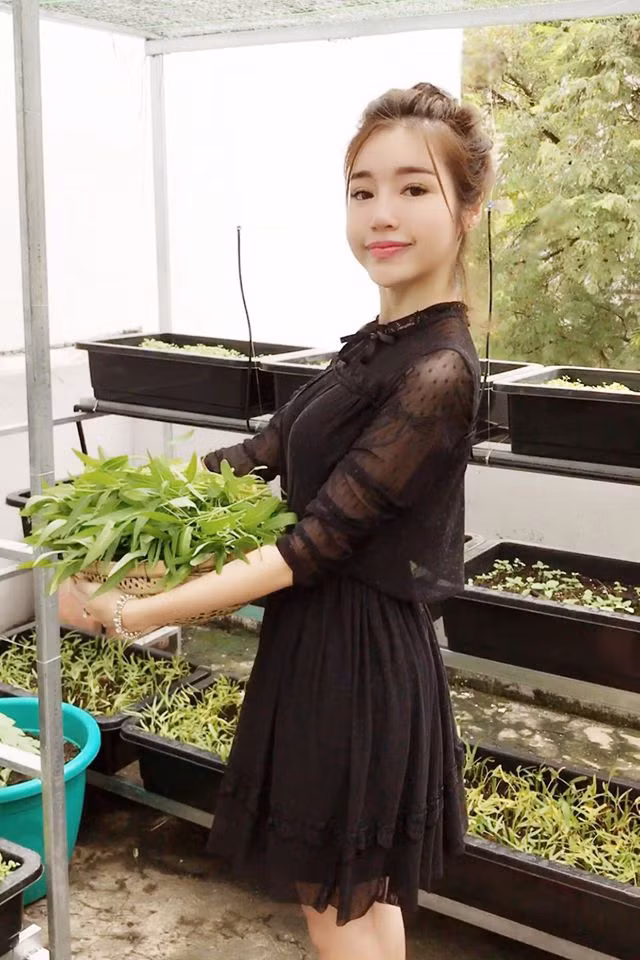 Muot mat vuon rau du loai tren san thuong nha Elly Tran