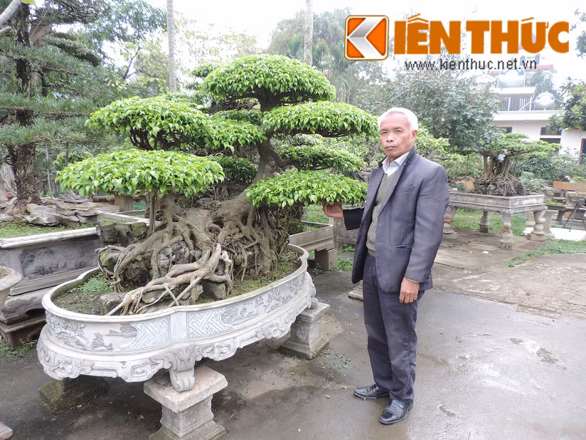 “Ngày đầu quyết định chuyển sang nghề trồng cây cảnh, tôi gặp rất nhiều khó khăn về vốn và sự ngăn cản của các thành viên trong gia đình. Nhưng vì đam mê, tôi quyết định bán con trâu cày cấy của gia đình để mua một cây lộc vừng giá 1.500.000 đồng . Nghiệp trồng cây cảnh cũng bắt đầu từ đó”.