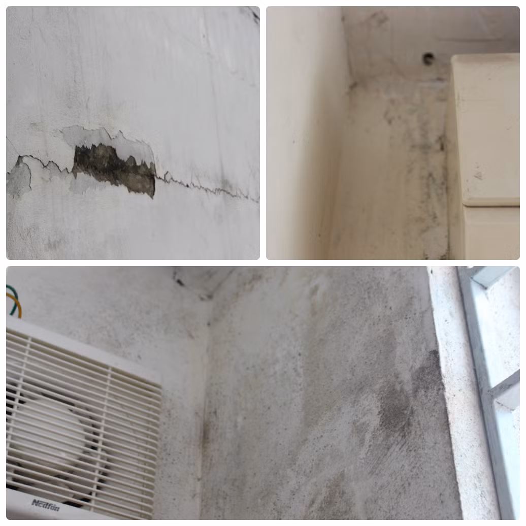 Nước từ mái nhà dột qua các tấm panel xuống hành lang, căn hộ áp mái. Tình trạng thấm nước từ mặt tường ngoài vào trong nhà, căn hộ gây ẩm mốc, bốc mùi. Đặc biệt, cửa gỗ trong nhiều căn hộ bị mối mọt đục rỗng, nguy cơ sập cửa gây mất an toàn. Ảnh: Tiền Phong.