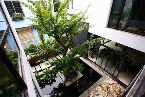Công trình này gây ấn tượng không chỉ bởi thiết kế sinh thái, nhiều cây xanh mà còn vì những công nghệ hiện đại tận dụng năng lượng mặt trời để cung cấp điện năng. Biệt thự này còn đặc biệt ở chỗ, rèm cửa tự kéo khi trời sáng và mưa bão tự đóng lại. Gia chủ cũng có thể ngồi một chỗ để vật tắt các thiết bị trong nhà. Ảnh: Baoxaydung.