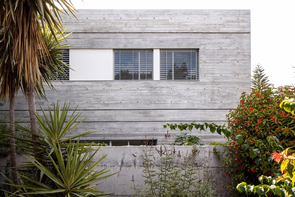 Cây cối tươi xanh vây quanh ngôi nhà. Ảnh: Dezeen.