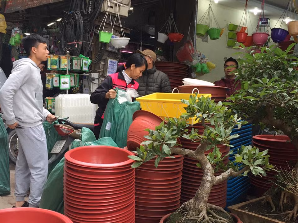 Khung cảnh bận rộn báo hiệu một vụ mùa bán hàng bội thu.