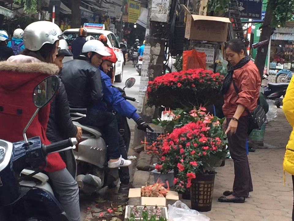  Phố cây cảnh Hoàng Hoa Thám là một trong những phố bán hoa nổi tiếng nhất Hà Nội. Những ngày cận Tết Đinh Dậu, người đi đường trên con phố này bị thu hút bởi sắc hoa rực rỡ đổ bộ về đây.
