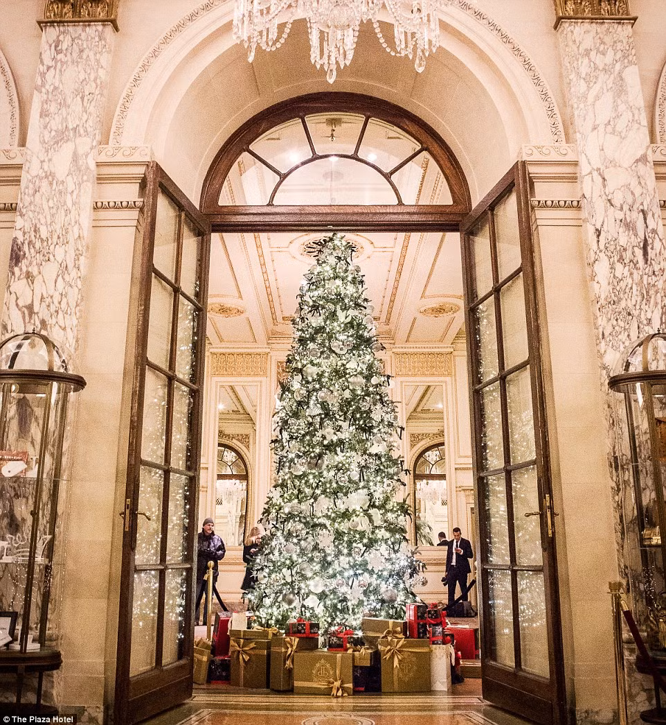 The Plaza Hotel ở New York. Có lẽ đây là khách sạn trang hoàng cây thông noel ấn tượng nhất, sáng lóa mắt và những hộp quà khổng lồ dưới gốc cây. Đặc biệt, ông già noel sẽ xuất hiện một cách bất ngờ tạo niềm vui thích cho khách lưu trú tại đây.