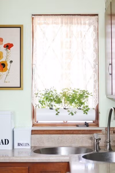 Trồng cây. Khoét lỗ nhỏ trên ống và cho đất vào, vậy là bạn đã có một chậu cảnh thật độc đáo. Chậu cảnh này có thể đặt ở bậu cửa sổ hay treo tùy ý.