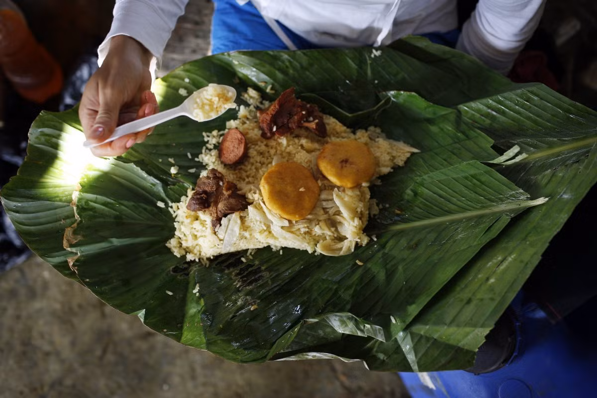 Chính phủ nước này đã có ý định thực hiện một chương trình trồng cây thay thế coca nhưng có vẻ như điều đó rất khó thực hiện bởi người dân vùng này chủ yếu sống nhờ vào việc sản xuất cocain.