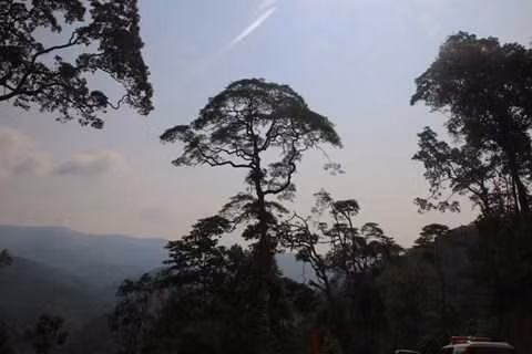 Lac vao “vuong quoc” Pomu khong lo tren day Ngoc Linh-Hinh-2