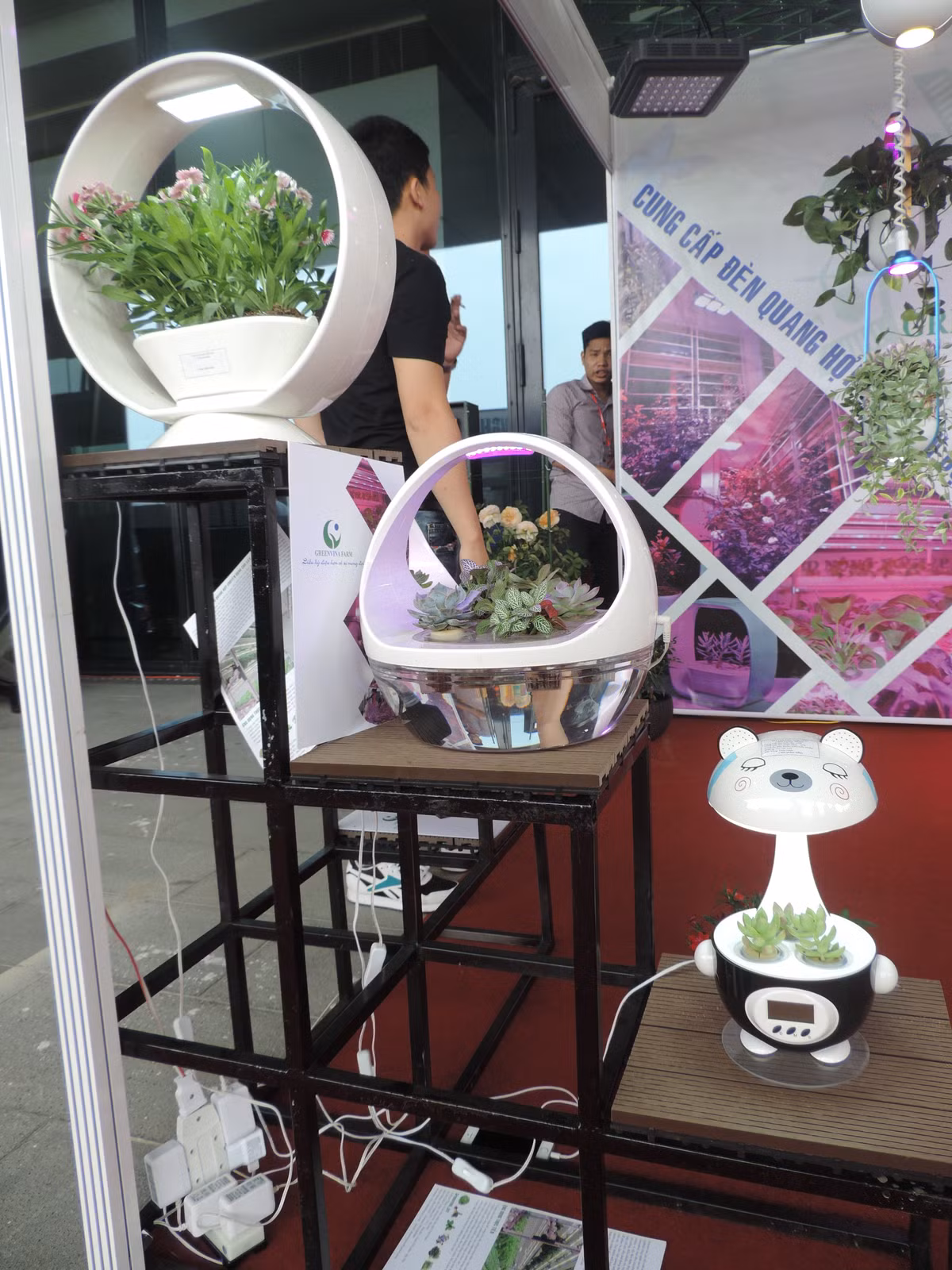 Ngoài chậu cây treo, nhiều mẫu cây để bàn cũng được ứng dụng công nghệ đèn Led quang hợp này.