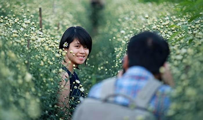 Hầu như những cánh đồng hoa cúc họa mi đều ở ngoại thành hà nội, nơi các ngả đường đều rộng rãi và ít người. Thế nhưng, cứ cuối tuần các ngả đường này lại thường xuyên xảy ra tắc nghẽn bởi lượng người đi ngắm cúc quá đông. Ảnh: Phunu.