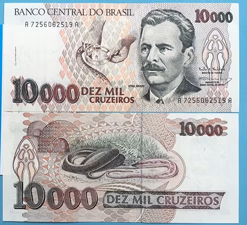 Tiền in hình con rắn mệnh giá 10.000 Reais của nước Brasil. Ảnh: Shoptienmayman.