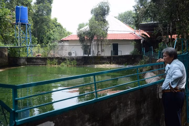 Sung sot tham canh hang van con ca sau doi la “cho chet"-Hinh-3