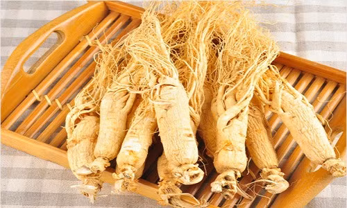 Sự thật về thần dược cải tử hoàn sinh nhà giàu Việt đang lùng mua - Hình 5 Su that ve than duoc cai tu hoan sinh nha giau Viet dang lung mua-Hinh-5