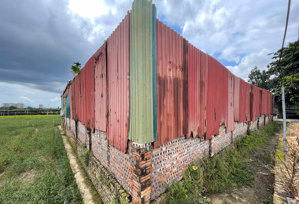 Khi nào xử lý công trình “mọc” trên đất nông nghiệp ở Tây Tựu? - Hình 3 Khi nao xu ly cong trinh “moc” tren dat nong nghiep o Tay Tuu?-Hinh-3