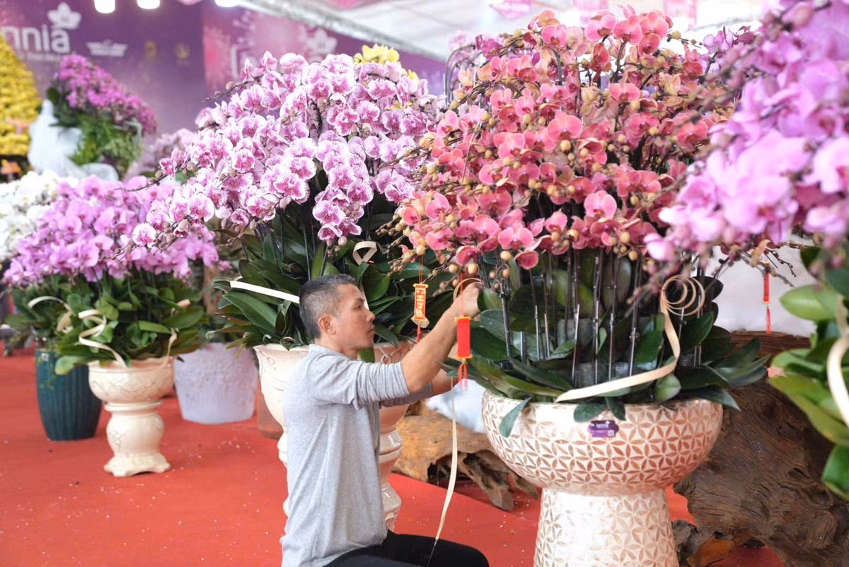 Lan ho diep tien ty, cho “dai gia” mang ve choi Tet-Hinh-8
