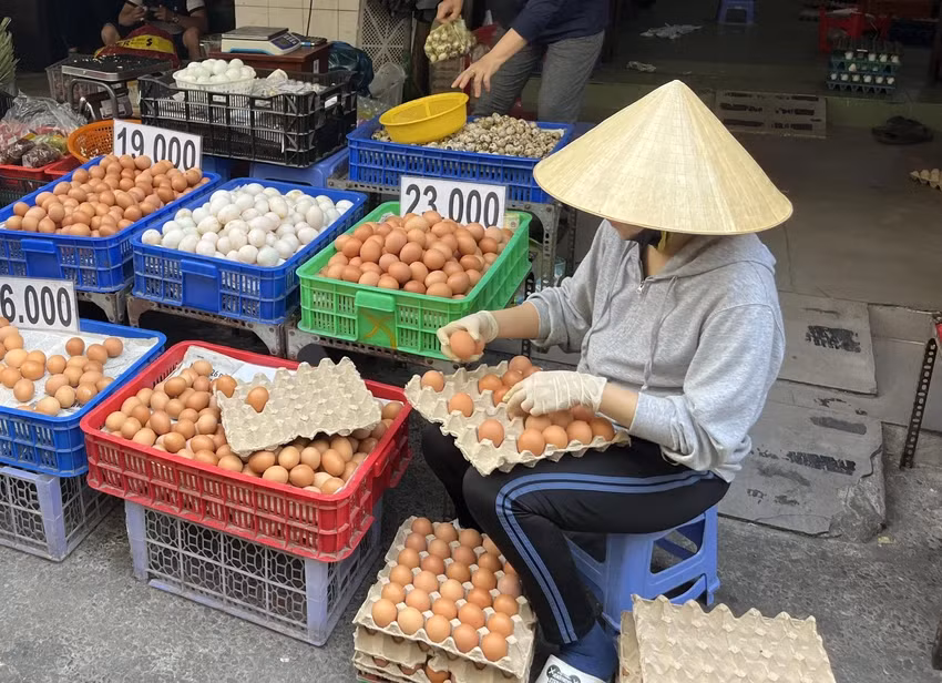 Trung ga, trung vit gia re ban tran lan kho kiem soat nguon goc