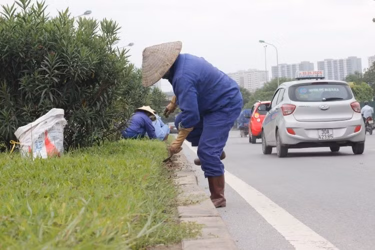 Với chi phí lên đến 53 tỷ cho việc cắt cỏ, tỉa hoa ở Đại lộ Thăng Long, nhiều người mơ ước được làm công việc này.