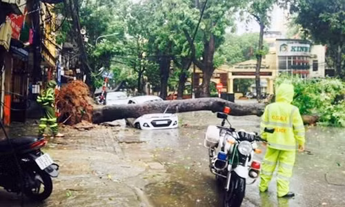 Cơn bão số 1 và bão số 2 đã gây thiệt hại lớn.