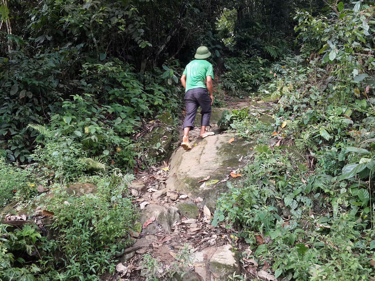 Đường vào hiện trường.