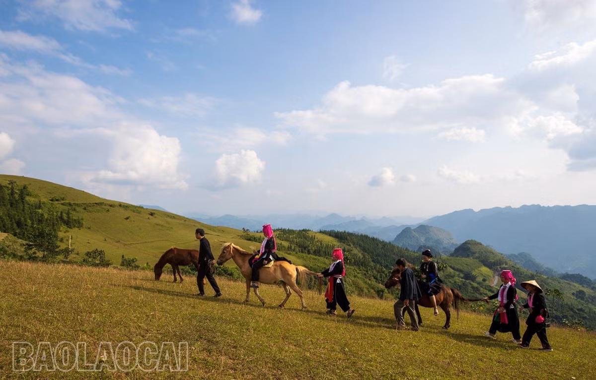Bức tranh thiên nhiên và bản sắc dân tộc tại đồi cỏ may.