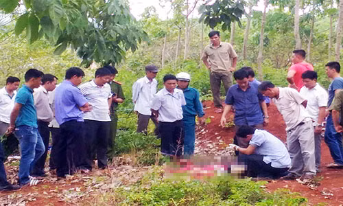 Bat nghi can vu nam sinh vien bi dam 56 nhat trong rung