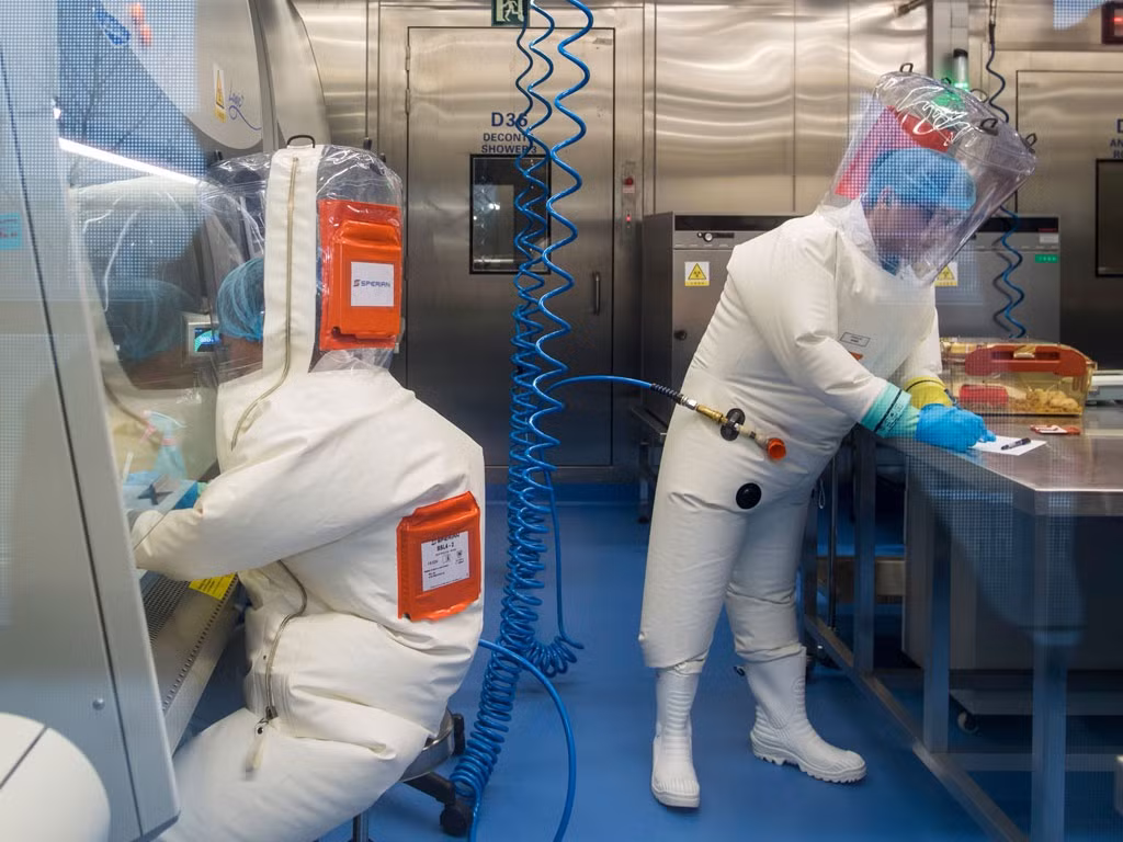 Phó Giám đốc Viện Virus học Vũ Hán được nhiều người biết đến với biệt danh "người đàn bà dơi". Điều này xuất phát từ việc bà là một chuyên gia về virus corona từ dơi.