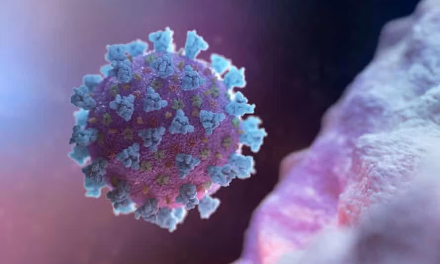 Việc đánh cắp những khả năng sửa đổi giúp ổn định virus và khiến virus lây nhiễm thành công hơn vào tế bào vật chủ.