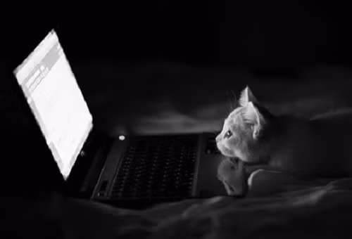 Em xem phim thâu đêm đấy!