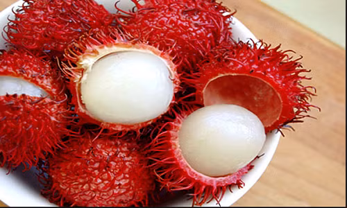 Hạt chôm chôm chữa bệnh tiểu đường.