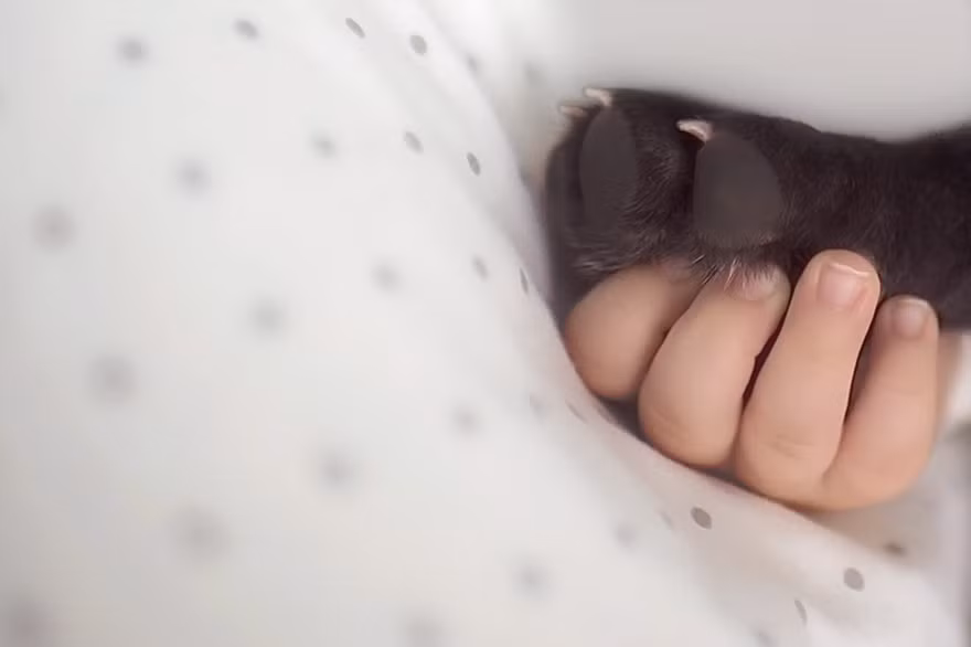 Đây là khoảnh khắc chân thực nhất về tình yêu thương, sự gắn bó vô điều kiện và không thể tách rời của bé và chú chó nhỏ.