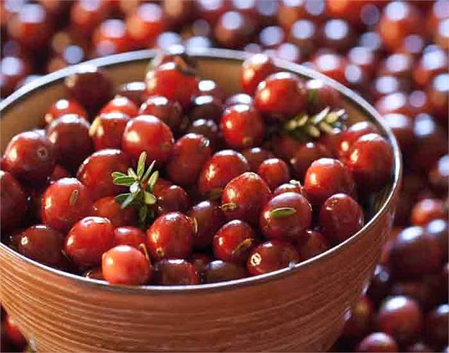 Quả nam việt quất: Tẩy sạch vi khuẩn có hại ra khỏi cơ thể với sự giúp đỡ của nam việt quất. Ăn một thìa việt quất hai lần trong tuần cũng tốt cho khả năng miễn dịch.