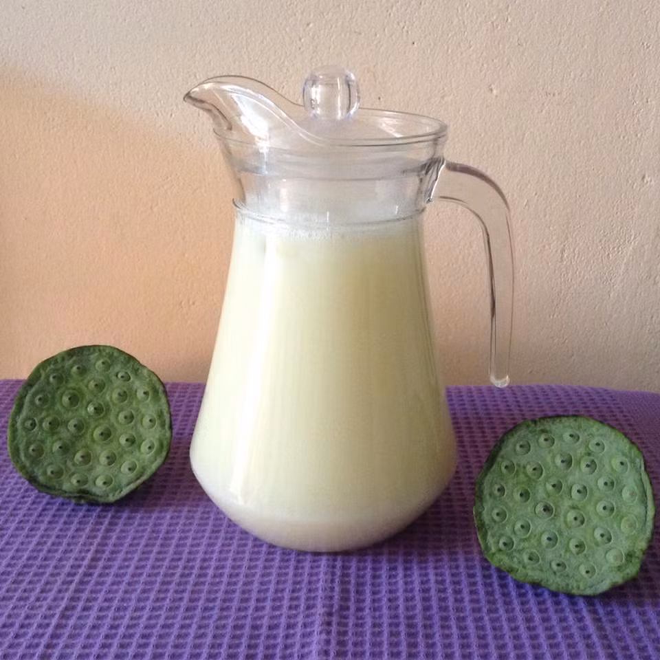 Nguyên liệu để làm sữa hạt sen bao gồm: 200g hạt sen tươi, 100g đường, 2 lít nước. 