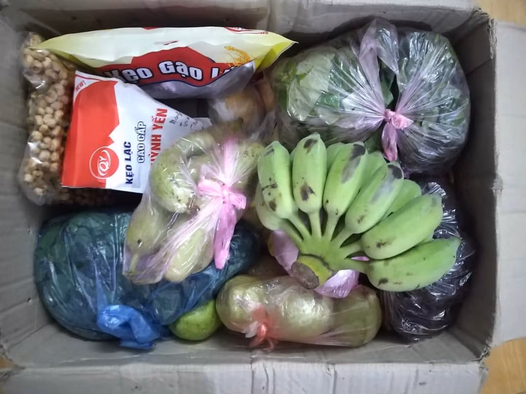 Nguyên nhân có thể là do ở thành phố, giá thực phẩm dần tăng cao và trở nên đắt đỏ khiến cho sinh viên ngày càng ít có khả năng chi trả cho những bữa ăn đầy đủ dinh dưỡng.